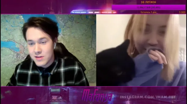 Кот психопат
